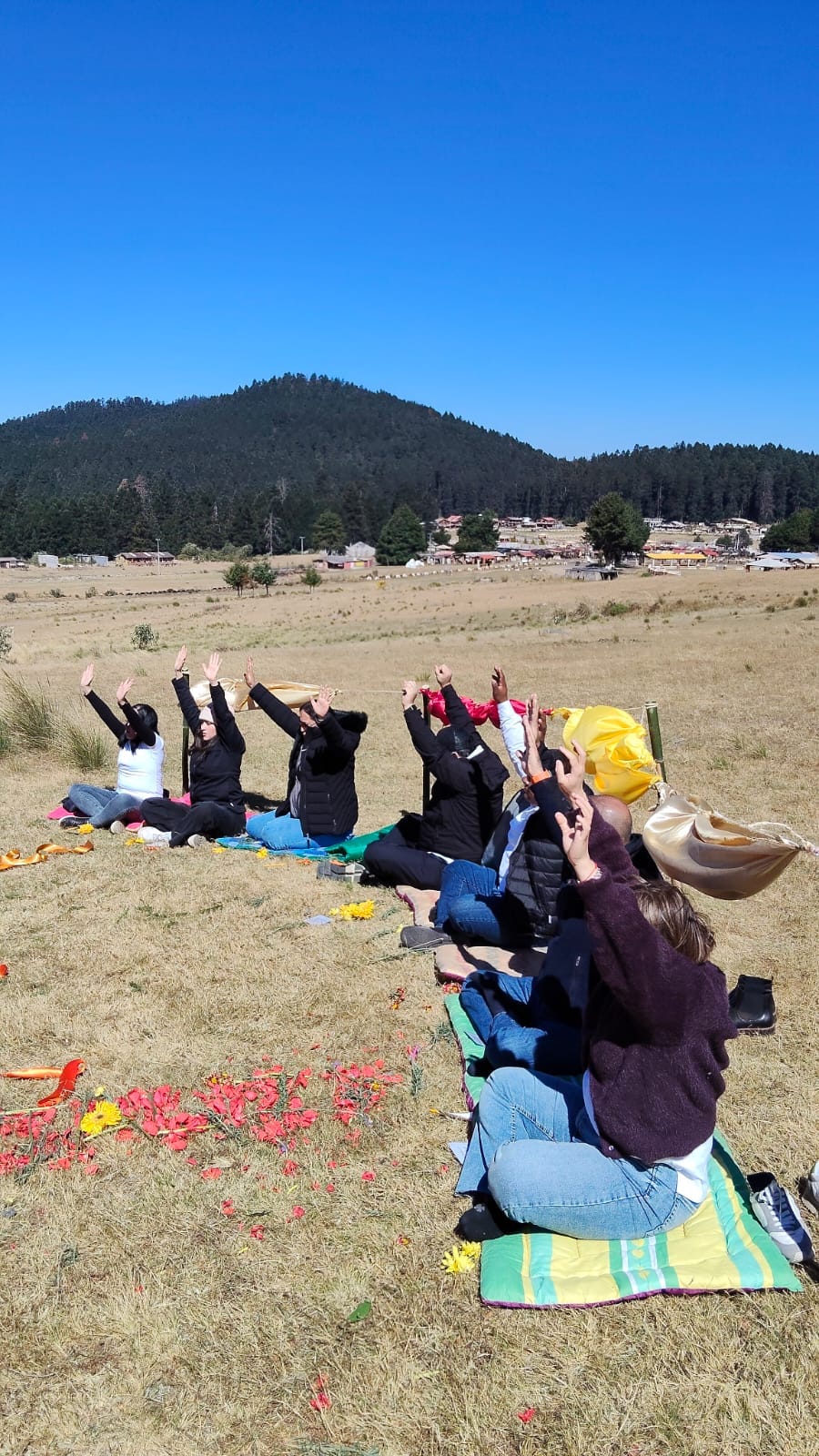 Imagen de taller 5